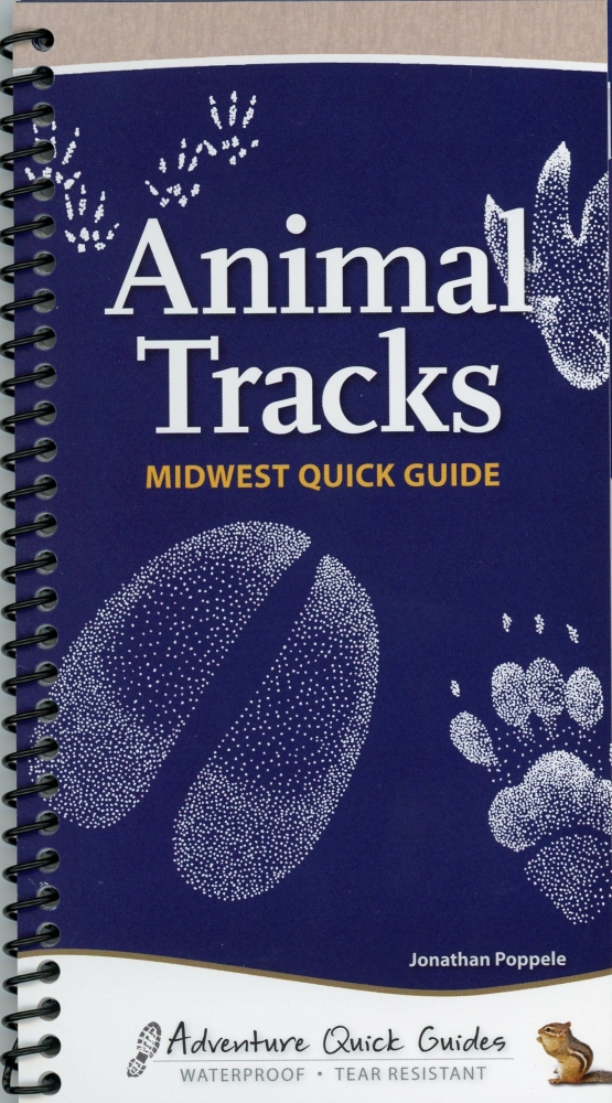 Animal Tracks: Midwest Quick Guide