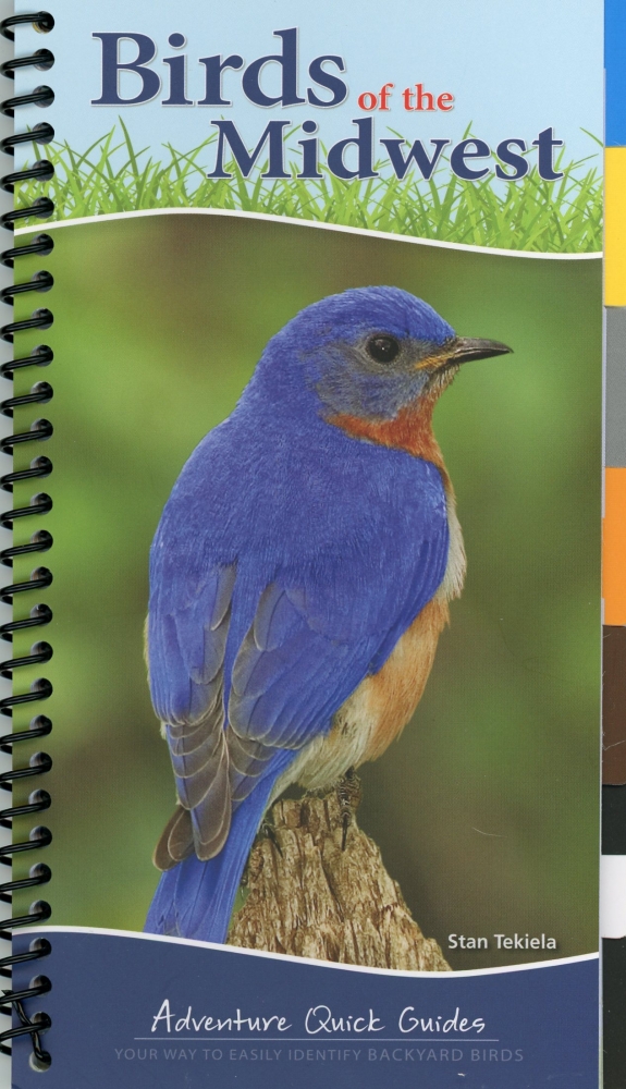 Birds of the Midwest: Adventure Quick Guides