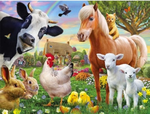 Farm Animals 300 Piece Puzzle