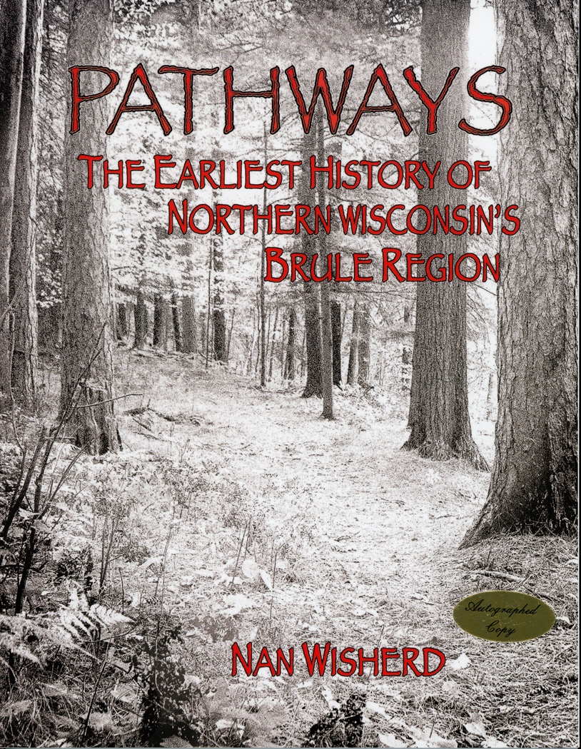 95  America Pathways To The Present Online Book with Best Writers