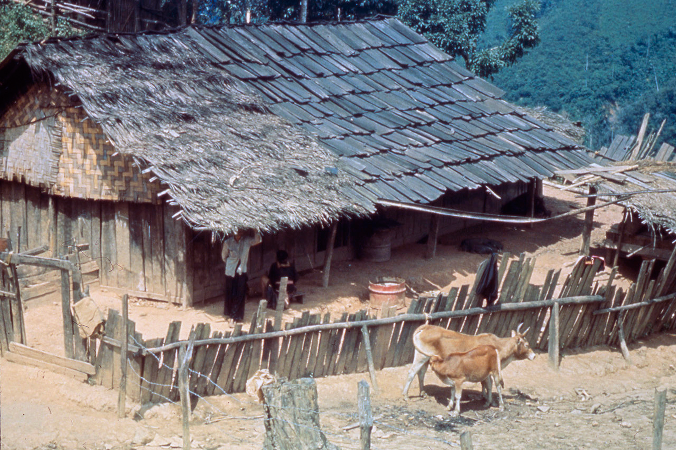 Hmong Village House